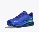 Men's Hoka Clifton 9 GTX - Bauman's Running & Walking Shop