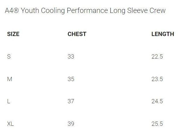 A4 Cooling Performance Long SLeeve D1 - Bauman's Running & Walking Shop