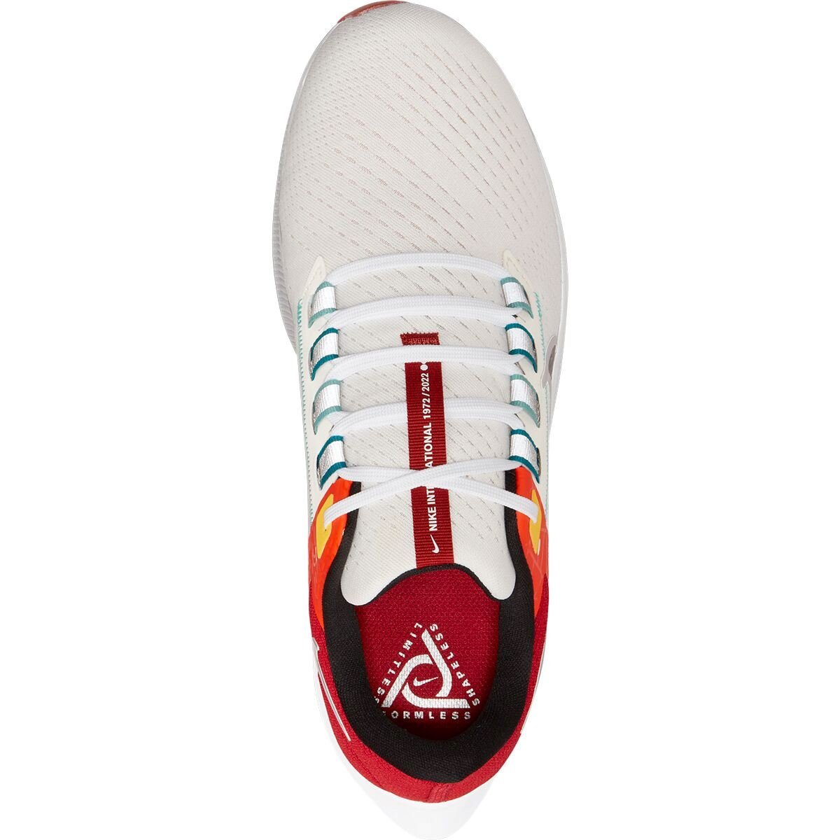 Men's Nike Air Zoom Pegasus 38 - Bauman's Running & Walking Shop